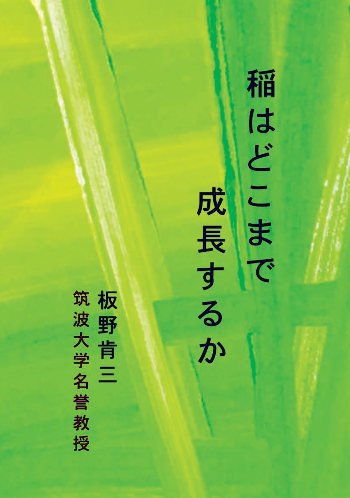 稲はどこまで成長するかの表紙